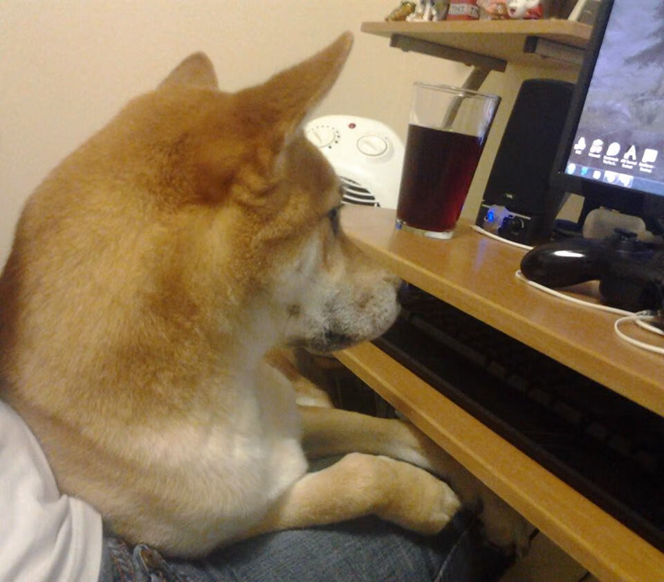 随机球场瞬间：全场最精彩、最震撼的放大版，球场上的精彩瞬间