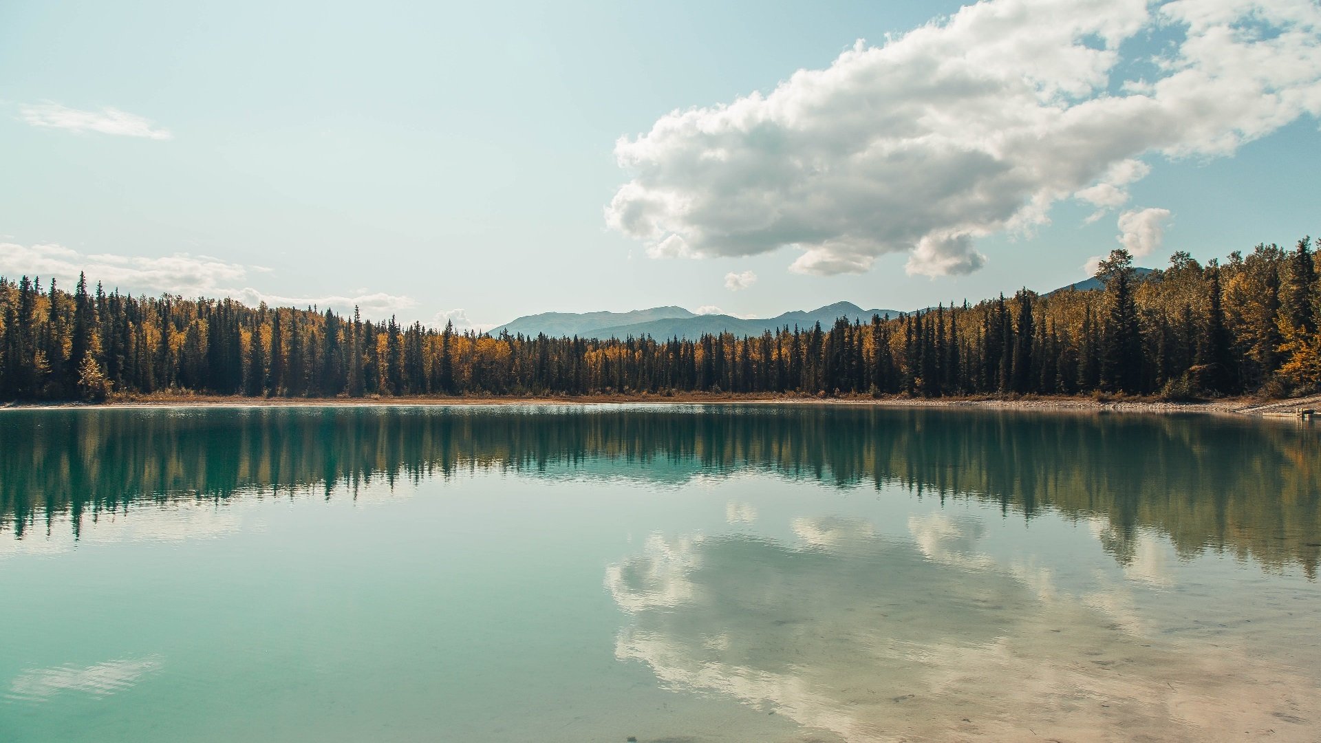 随机莱万联赛第200球，德甲史上首屈一指的射手，莱万拿过几次德甲金靴
