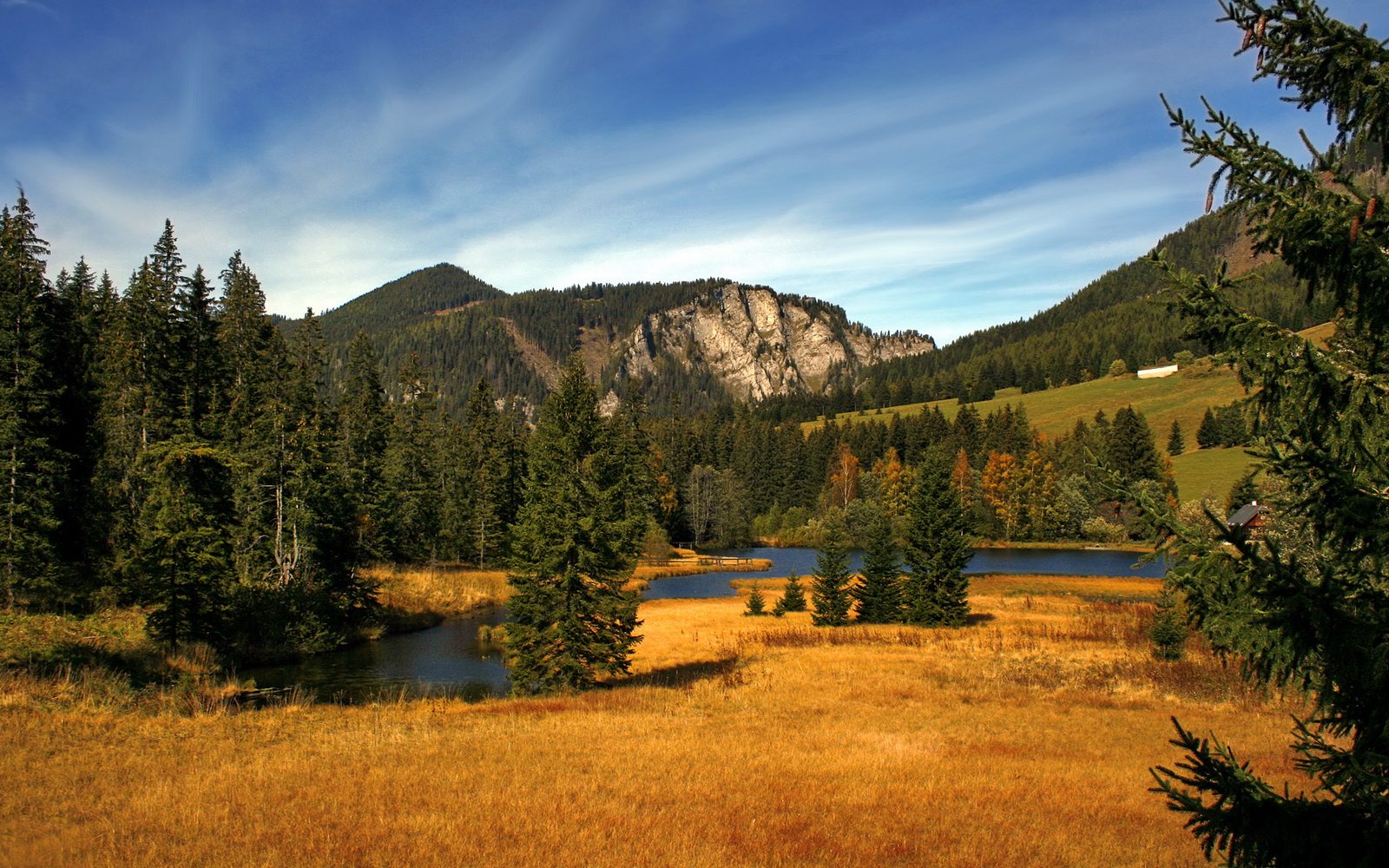 随机利物浦球星莱万多夫斯基领衔拜仁对决弗赖堡，利物浦拜仁交手记录