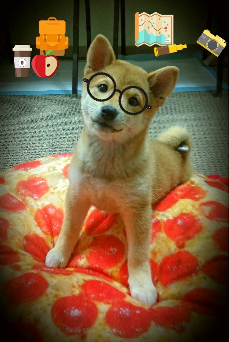 随机北美赛区如何提升国际表现？，北美赛区排名