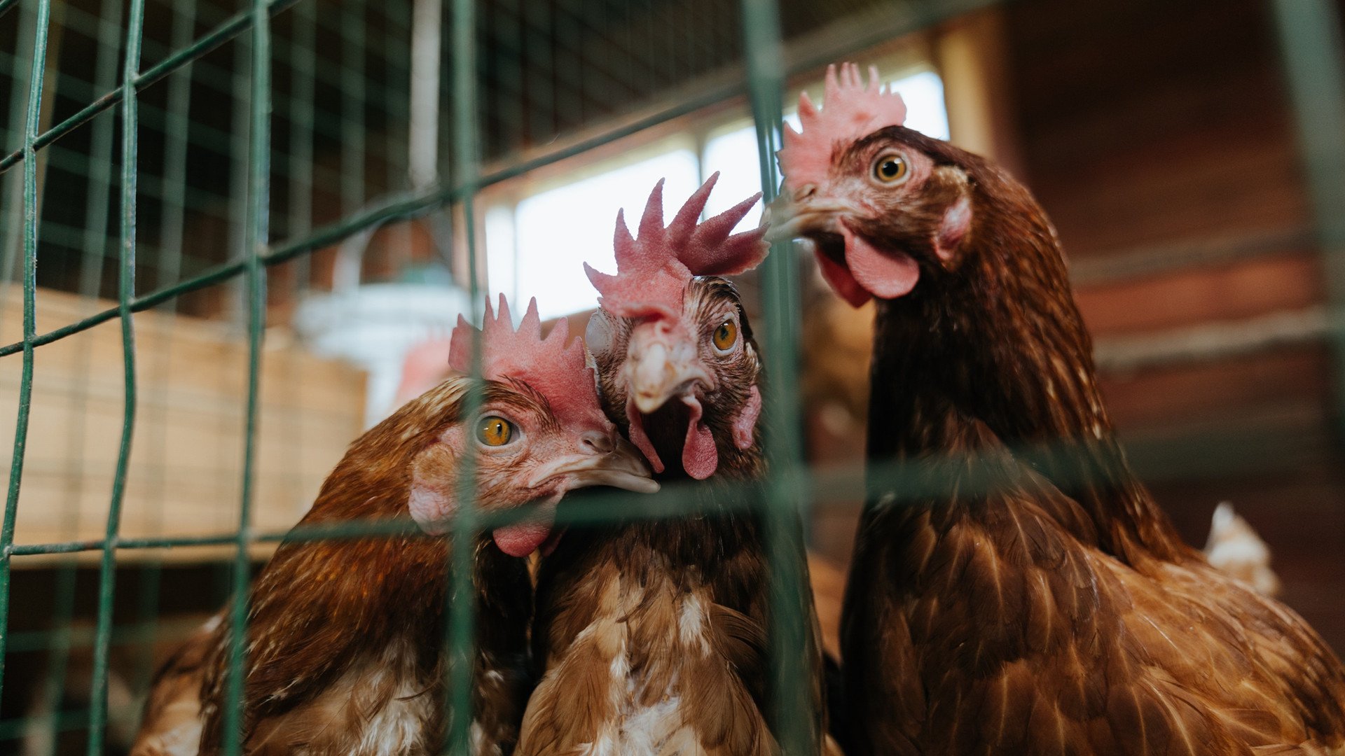 KAIYUN 中国大陆-斯洛特在比赛中注重控球，提升球队控球率，斯洛克规则进球顺序是