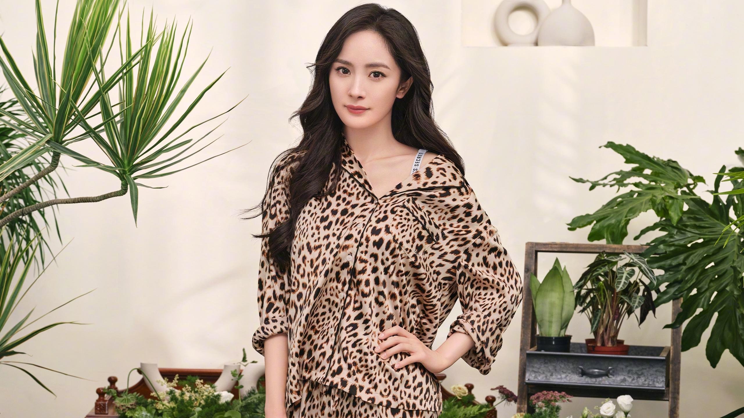 开云·体育官方网站入口-波尔图欧冠表现抢眼，波尔图欧冠冠军主力阵容