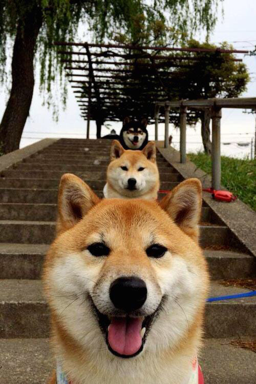 Kaiyun APP-电竞社区多样化活动策划与用户粘性提升案例，电竞社区运营是做什么