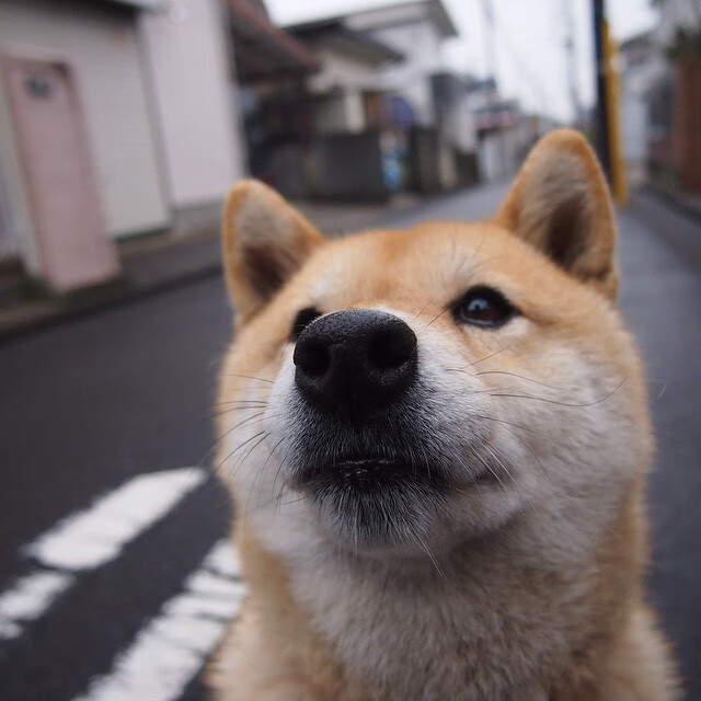 Kaiyun(中国)开云-猛龙新赛季目标设定在东部前四，猛龙新赛季主场