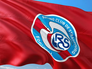 开云体育视频直播-荷兰队在欧洲预赛中继续保持领先优势